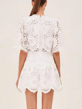 Lace Trim Embroidered Cutout Dress