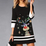 Fall Winter Crew Neck Casual dress